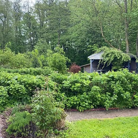 Haus West Hébergement de vacances *