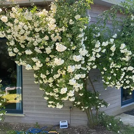 Haus West Hébergement de vacances *